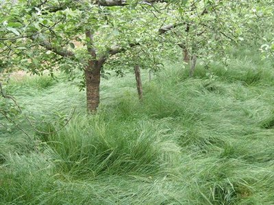 1632570313418659.jpg 1632570313418659.jpg