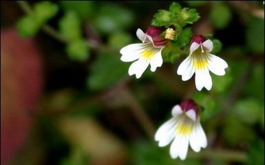 1632570939903951.jpg 1632570939903951.jpg