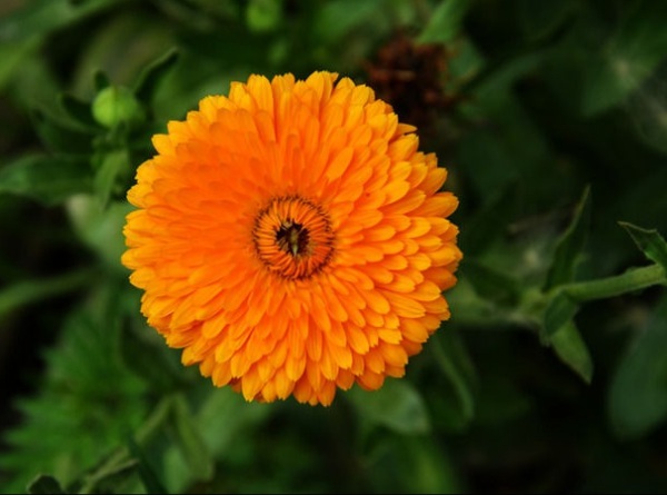 1632580485256450.jpg image.jpg