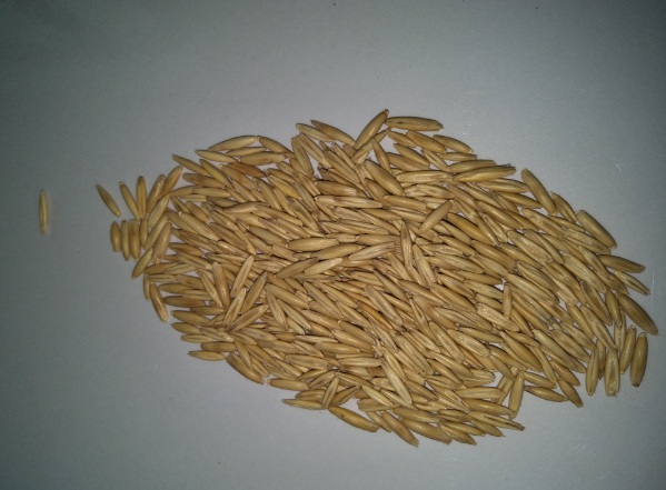 1632581308757434.jpg image.jpg