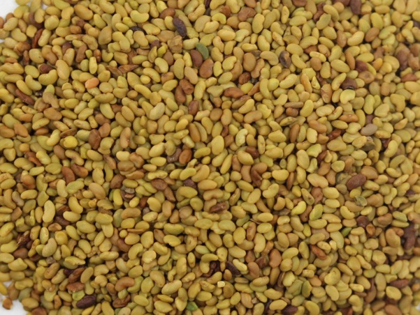 1632581365350293.jpg image.jpg