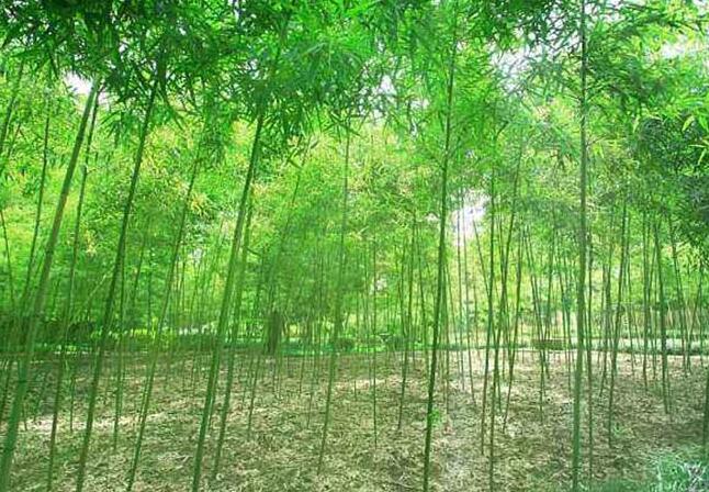 1632585616579960.jpg 1632585616579960.jpg