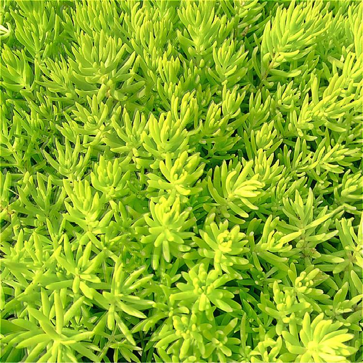 1632651509747563.jpg 1632651509747563.jpg