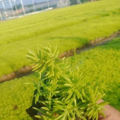 1632651531530015.jpg 1632651531530015.jpg