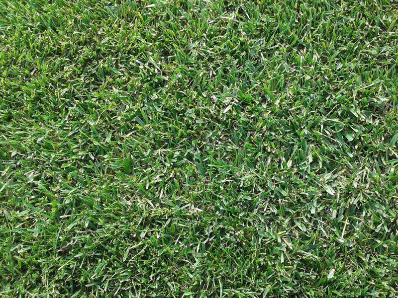 1632668108955702.jpg 70e7c4f3b138ca876d112fa47cb8a46d_1591075767111383.jpg