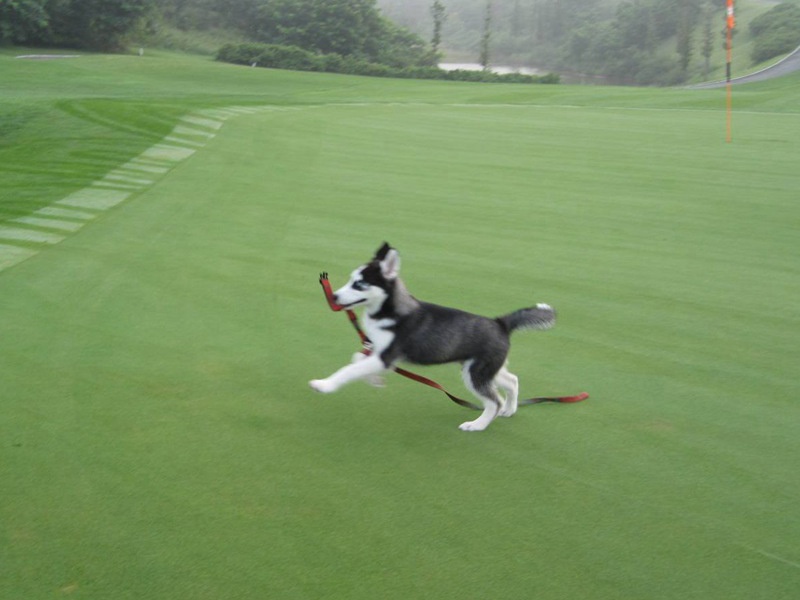 1632670319951704.jpg 38dde79ea896b75fa9ba97d4c4fe56e5_1591067708799853.jpg