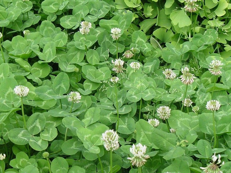 1632674571974075.jpg b1de96a40aa842ed4e37c77dff9a408d_1591068332588678.jpg