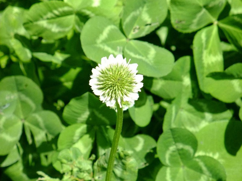 1632674600927623.jpg 204cda221efa2d2074be6c26f1de5d53_1591068333721959.jpg