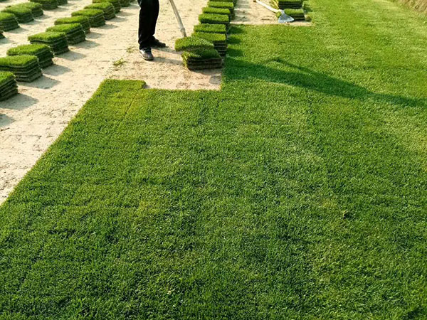 1632705488253857.jpg 7c6e32520334911ae40489a9949cd4b6_1527146395215789.jpg