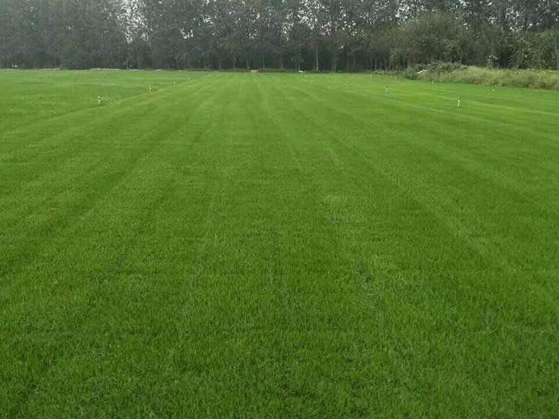 1632714167788264.jpg 72f2cff33c877f60729a8df9cb4ed216_1591075876320748.jpg