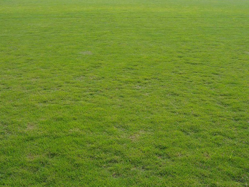 1632714202489295.jpg e58de079870c48fd5846afa4066acc33_1591077811185138.jpg