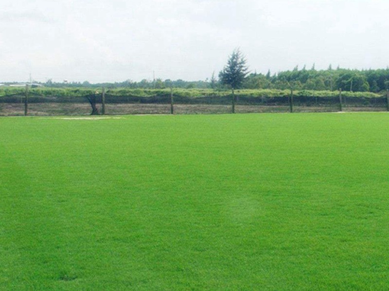 1632714401614696.jpg 3272e4b8978f154cf2e27f8ad2af914d_1591068449344495.jpg