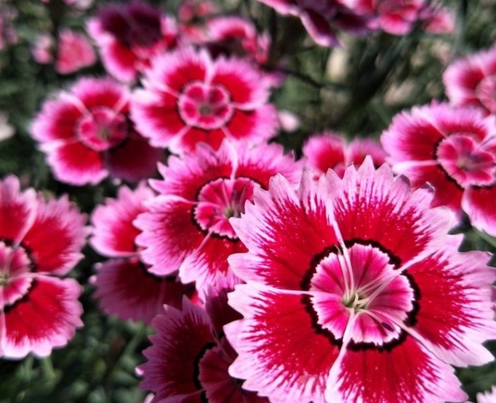 1632723337620589.jpg 1632723337620589.jpg