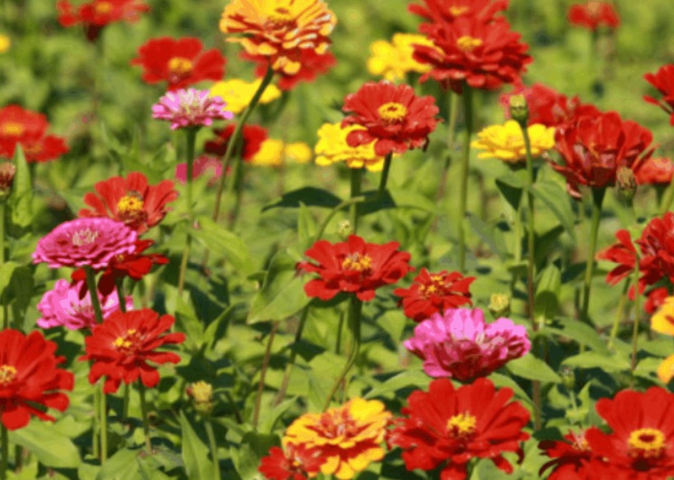 1632727811747756.jpg 1632727811747756.jpg