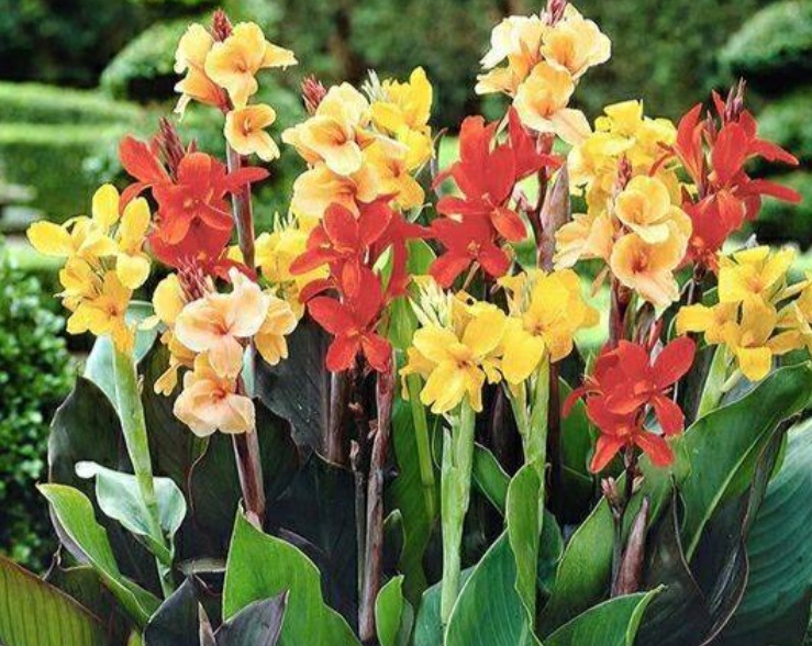 1632728058133855.jpg 1632728058133855.jpg