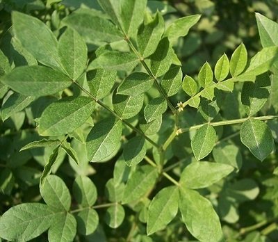 1632741101252723.jpg 1632741101252723.jpg