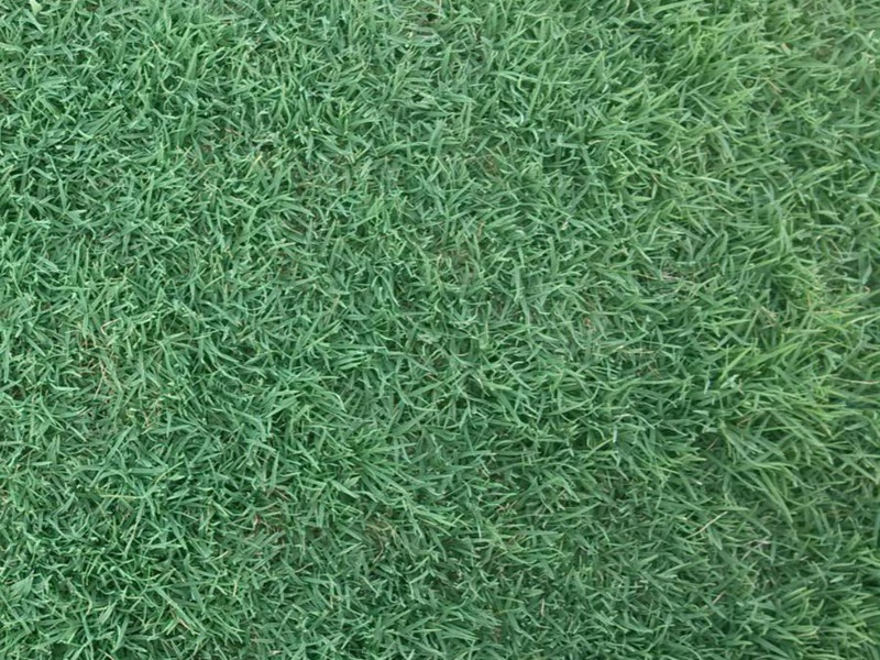 1632781956811372.jpg b9ef328e6d62ca14c7a0a24ad00bc303_1591079031879335.jpg