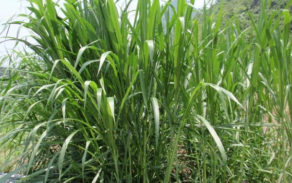 1632796091102167.jpg image.jpg