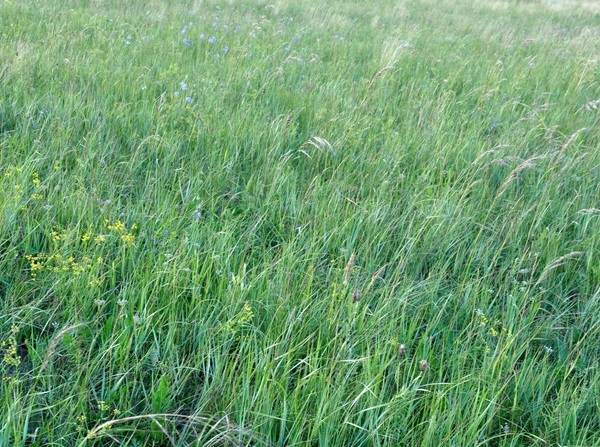 1632796308374392.jpg image.jpg