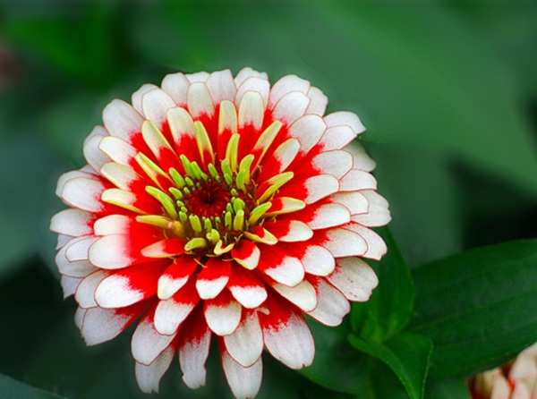 1632800103610020.jpg image.jpg