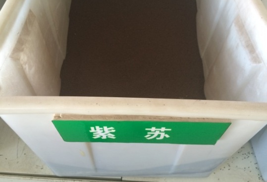 1632824969356486.jpg image.jpg