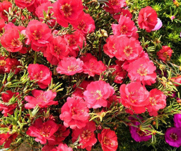 1632829231283170.jpg image.jpg