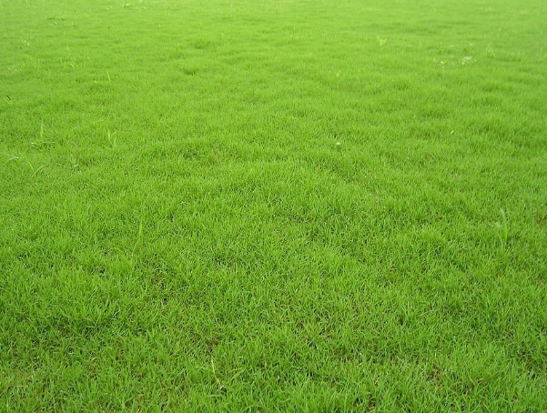 1632835111121192.jpg image.jpg