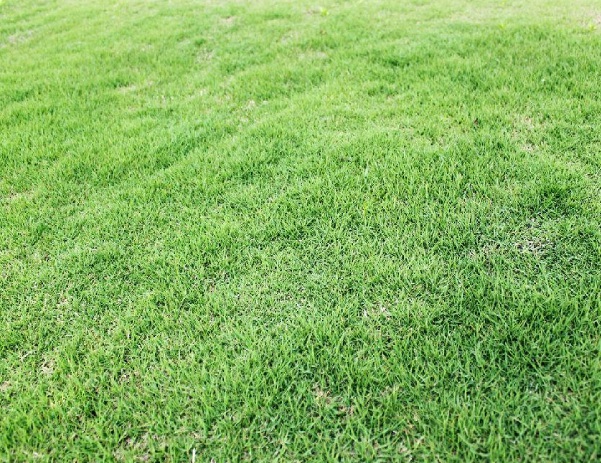 1632835148212088.jpg image.jpg