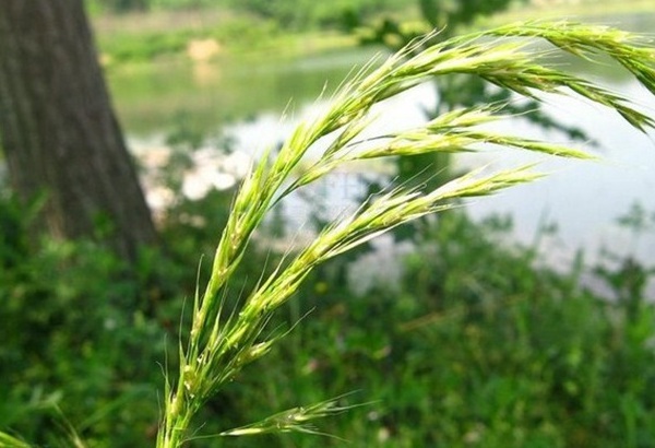 1632836918268670.jpg image.jpg