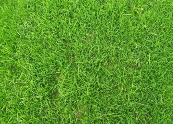 1632837266563711.jpg image.jpg