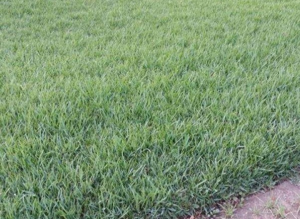 1632837283904884.jpg image.jpg