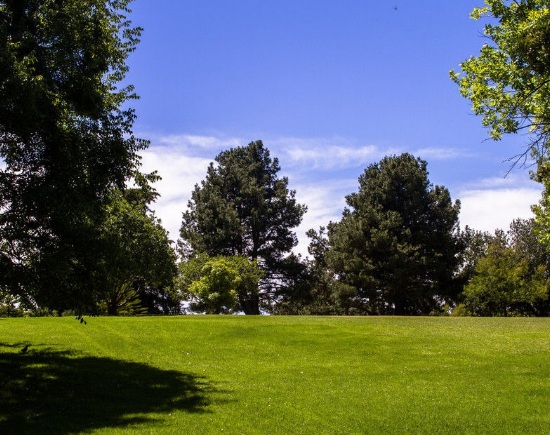 1632872945767751.jpg image.jpg