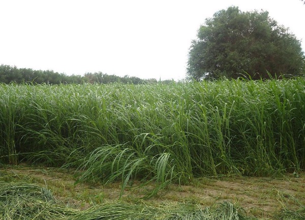 1632873040116636.jpg image.jpg