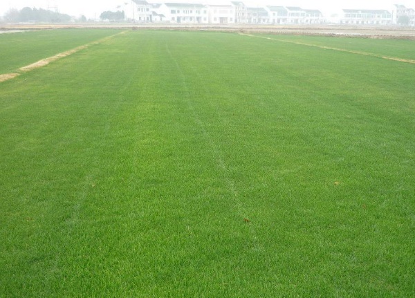 1632875071579047.jpg image.jpg