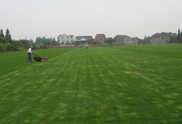 1632875109927468.jpg image.jpg