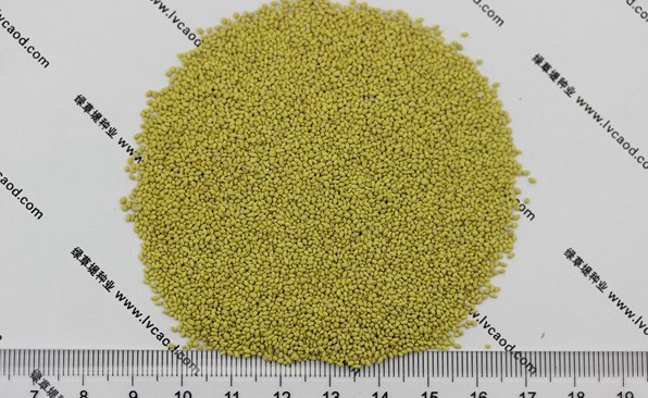 1632904130638072.jpg image.jpg