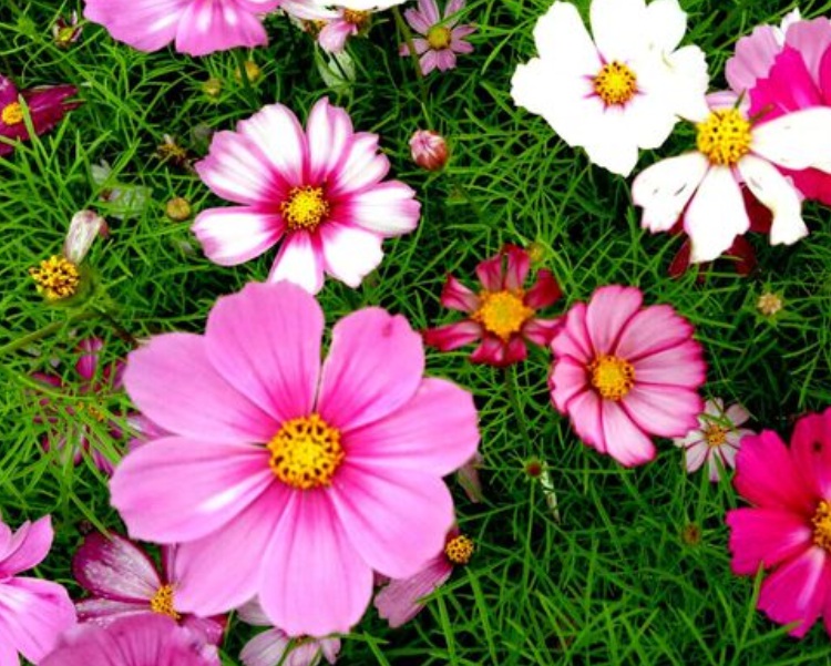 1632906237588985.jpg 1632906237588985.jpg