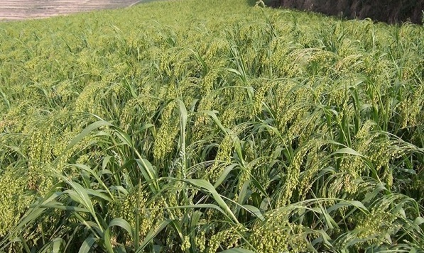 1632913934150613.jpg 圖片.jpg