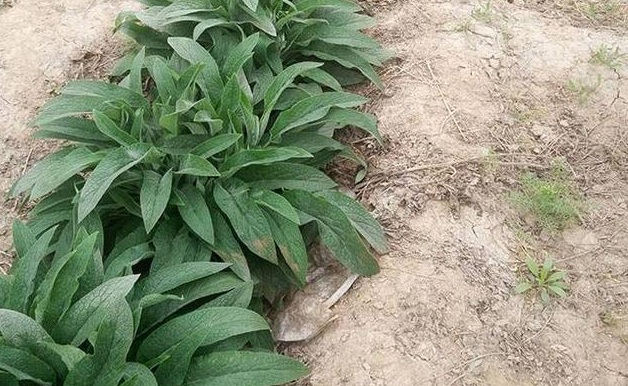 1632916330367788.jpg 1632916330367788.jpg