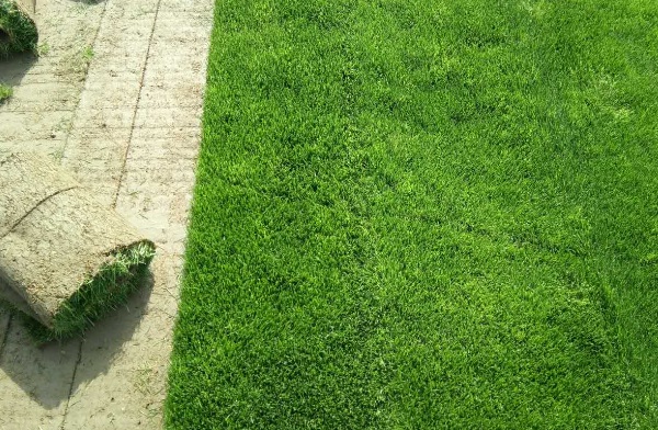 1632962979560363.jpg image.jpg