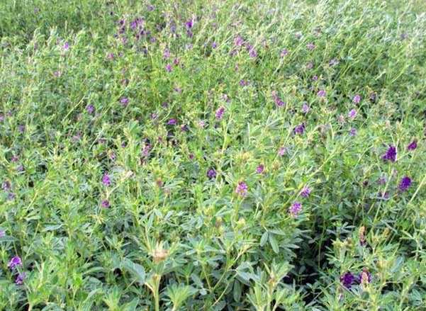 1632963792900643.jpg image.jpg