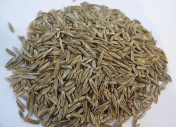 1632965139763826.jpg image.jpg