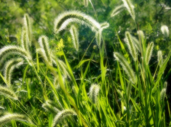 1632965261837061.jpg image.jpg