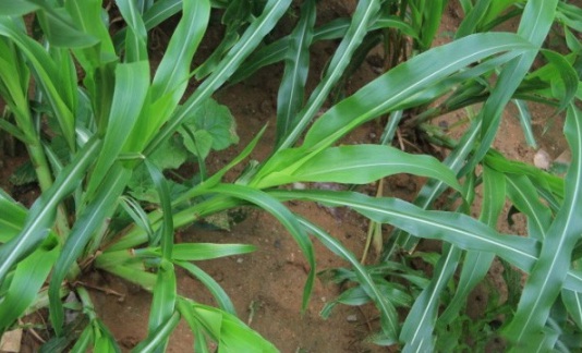 1632979330746458.jpg image.jpg