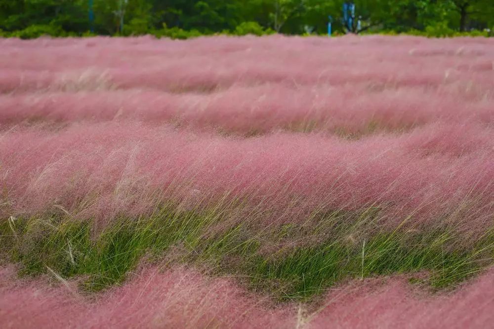 1632985351915607.jpeg 1632985351915607.jpeg