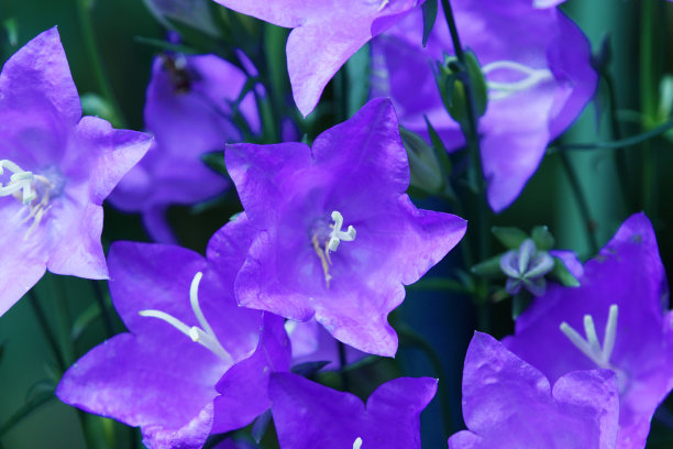 1632985743323511.jpg 1632985743323511.jpg