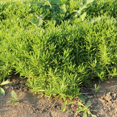 1632986273893003.jpg 1632986273893003.jpg