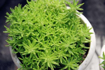 1632986294895126.jpg 1632986294895126.jpg