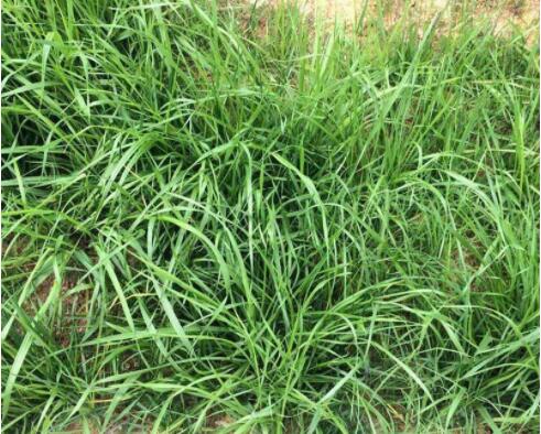 1633182919579876.jpg 1633182919579876.jpg