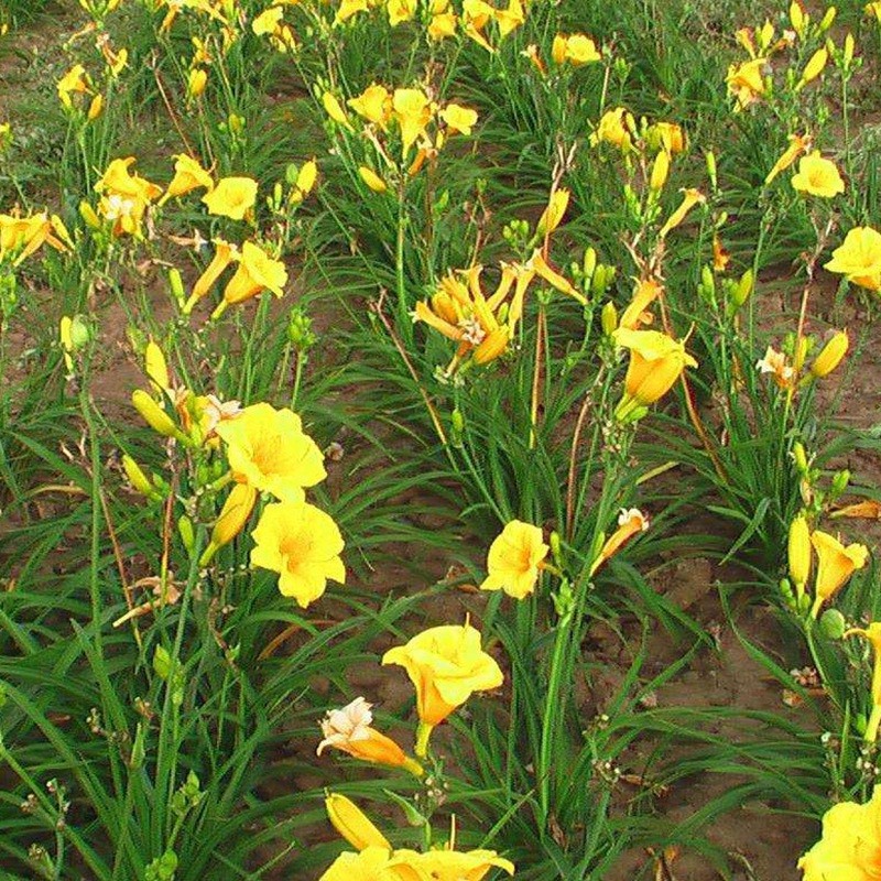 1633957453266211.jpg f788580b6280c0188180251951b1ed8f_1587980592184542.jpg